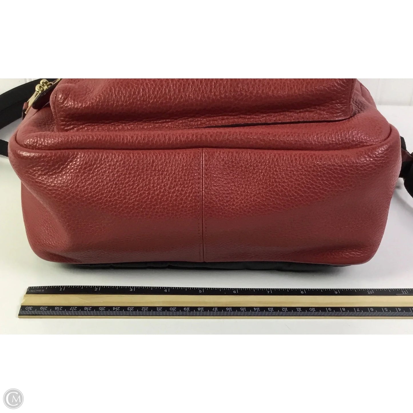 Backpack Designer By Coach, Size: Medium