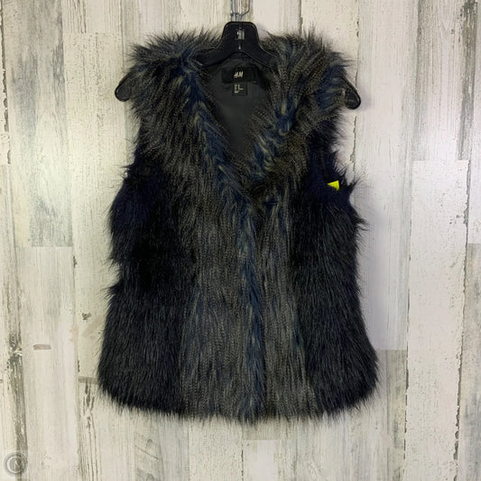 Vest Faux Fur & Sherpa By H&m In Navy, Size: Xs