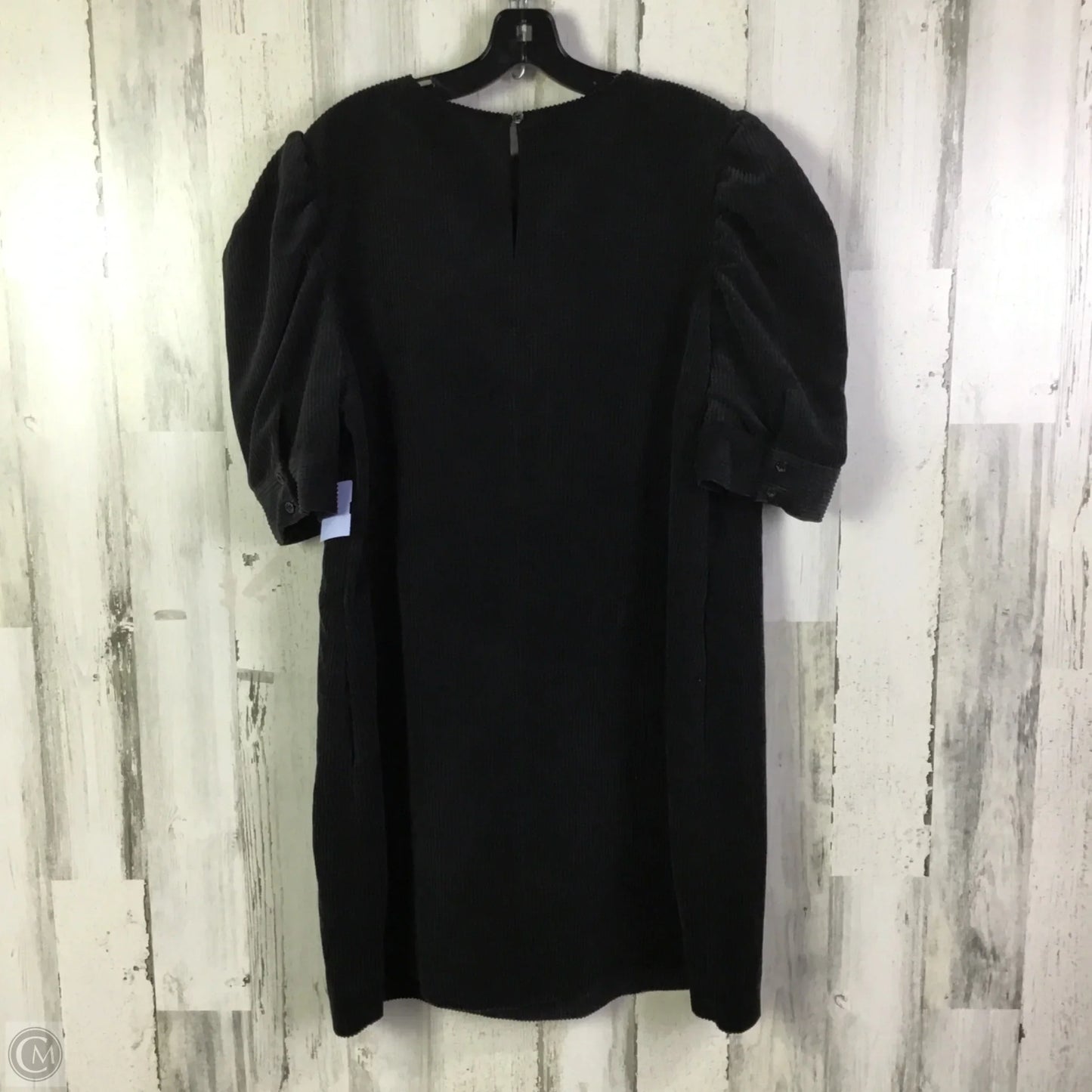 Dress Casual Short By Who What Wear In Black, Size: Xxl