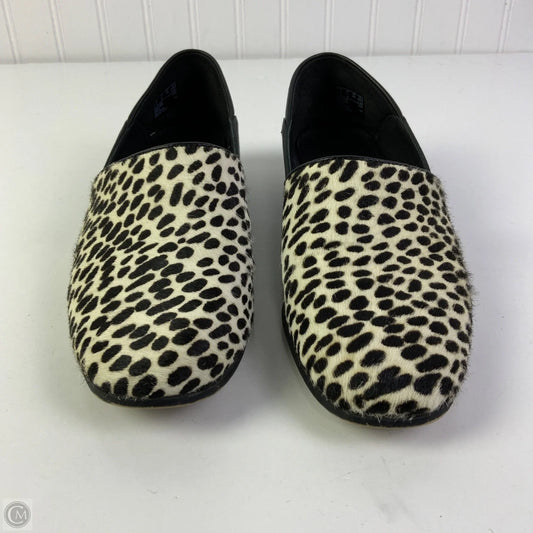 Shoes Flats By Clarks In Animal Print, Size: 7.5