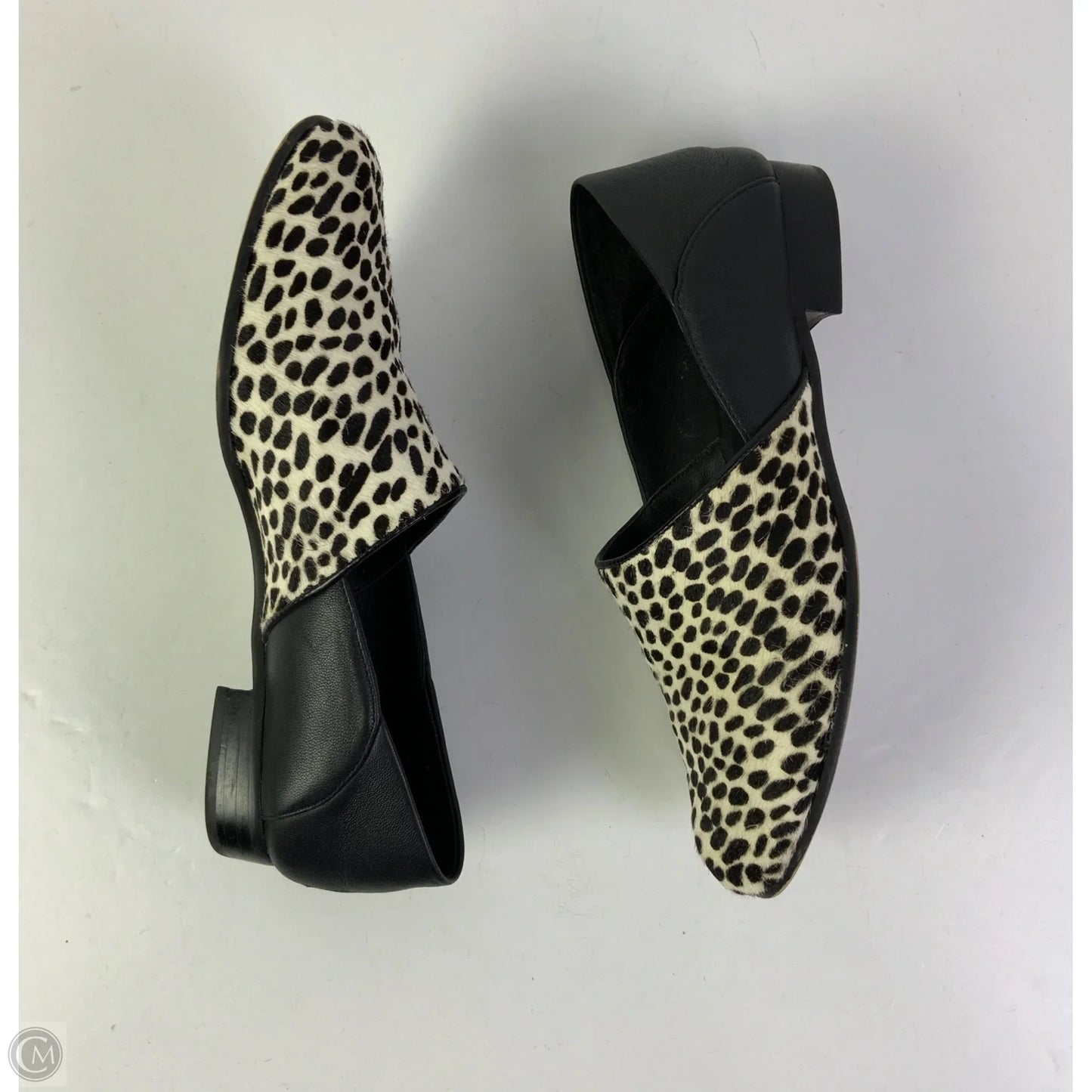 Shoes Flats By Clarks In Animal Print, Size: 7.5