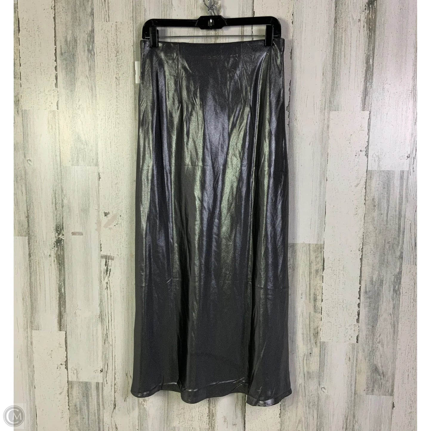 Skirt Maxi By Clothes Mentor In Silver, Size: 4