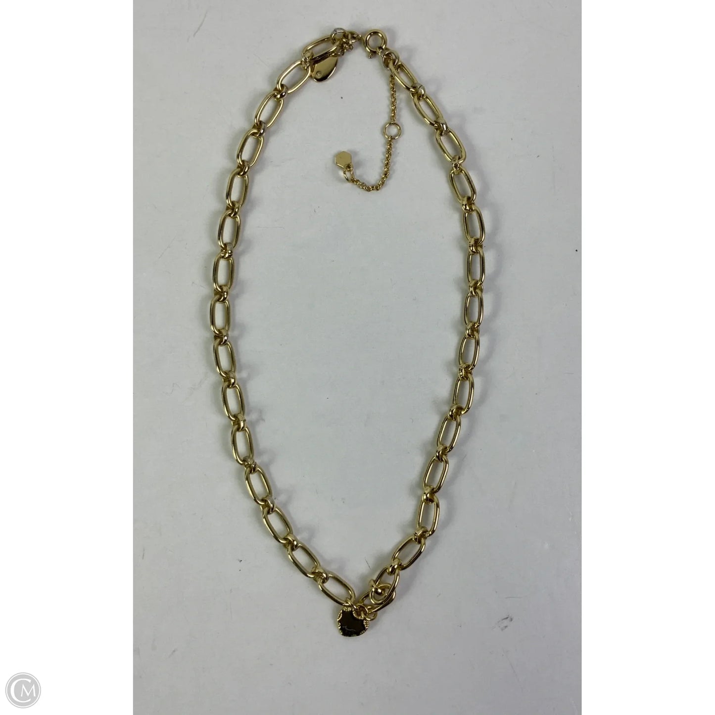 Necklace Chain By Aerie