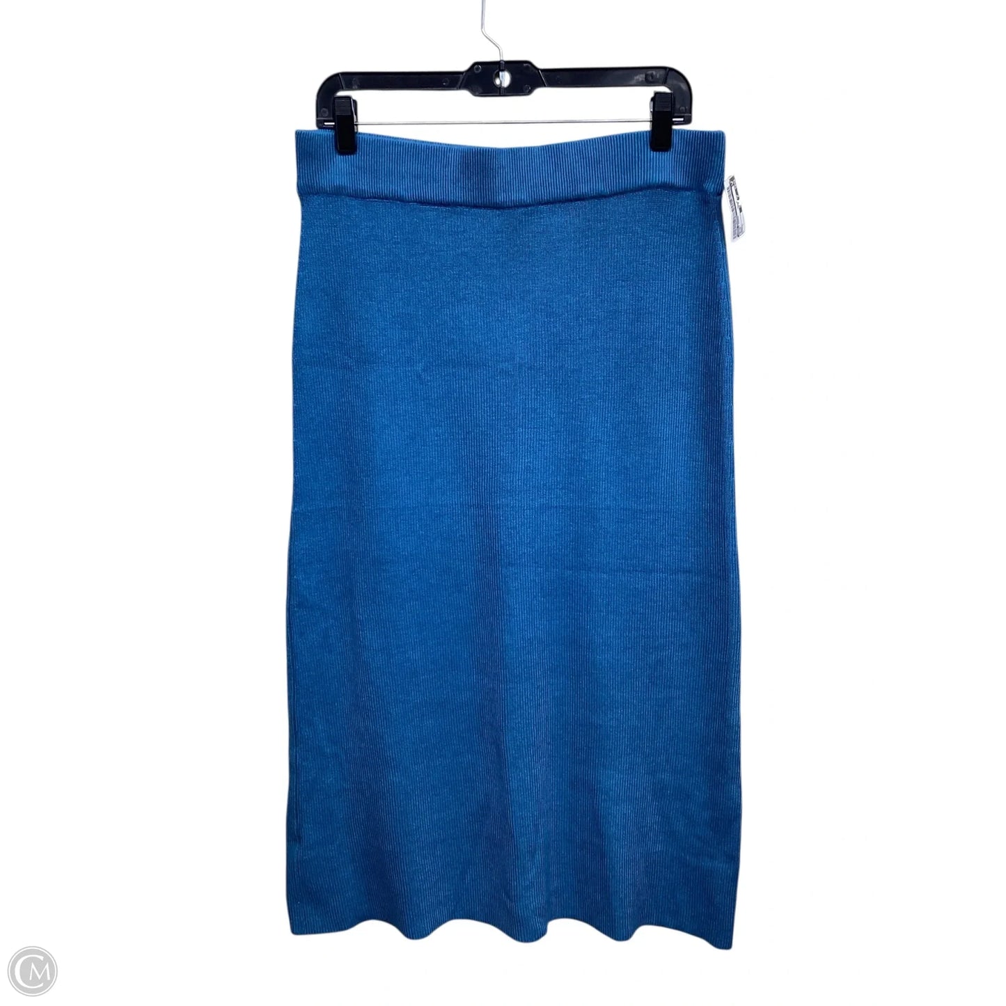 Skirt Maxi By Ann Taylor In Blue, Size: L