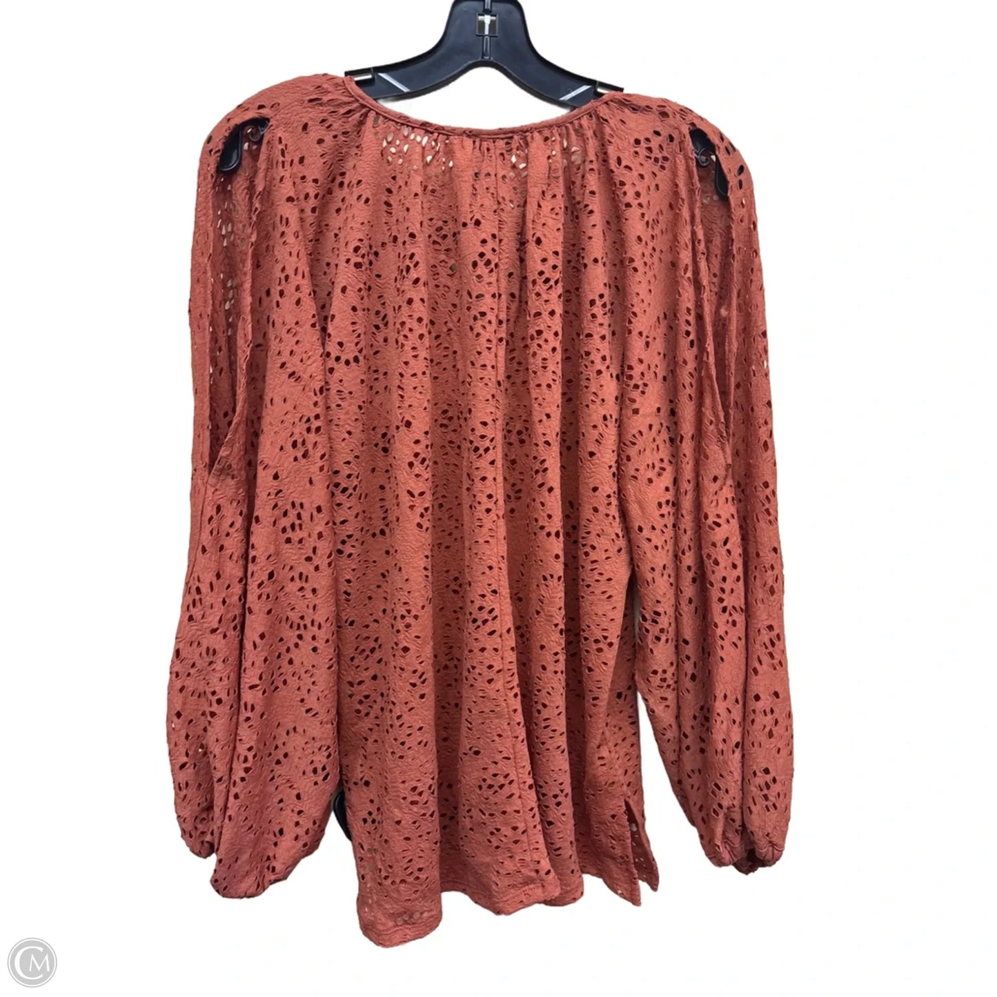 Top Long Sleeve By Vince Camuto In Brown, Size: L