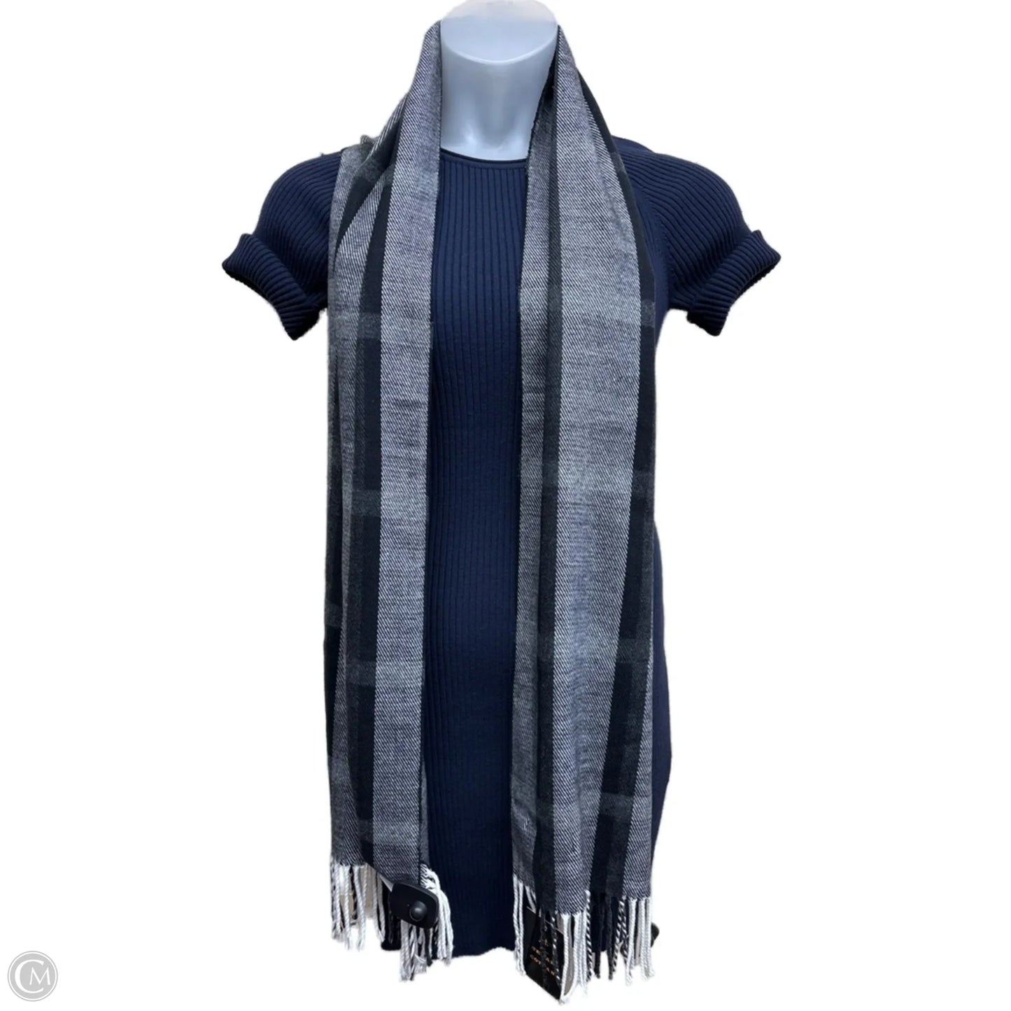 Scarf Long By Clothes Mentor