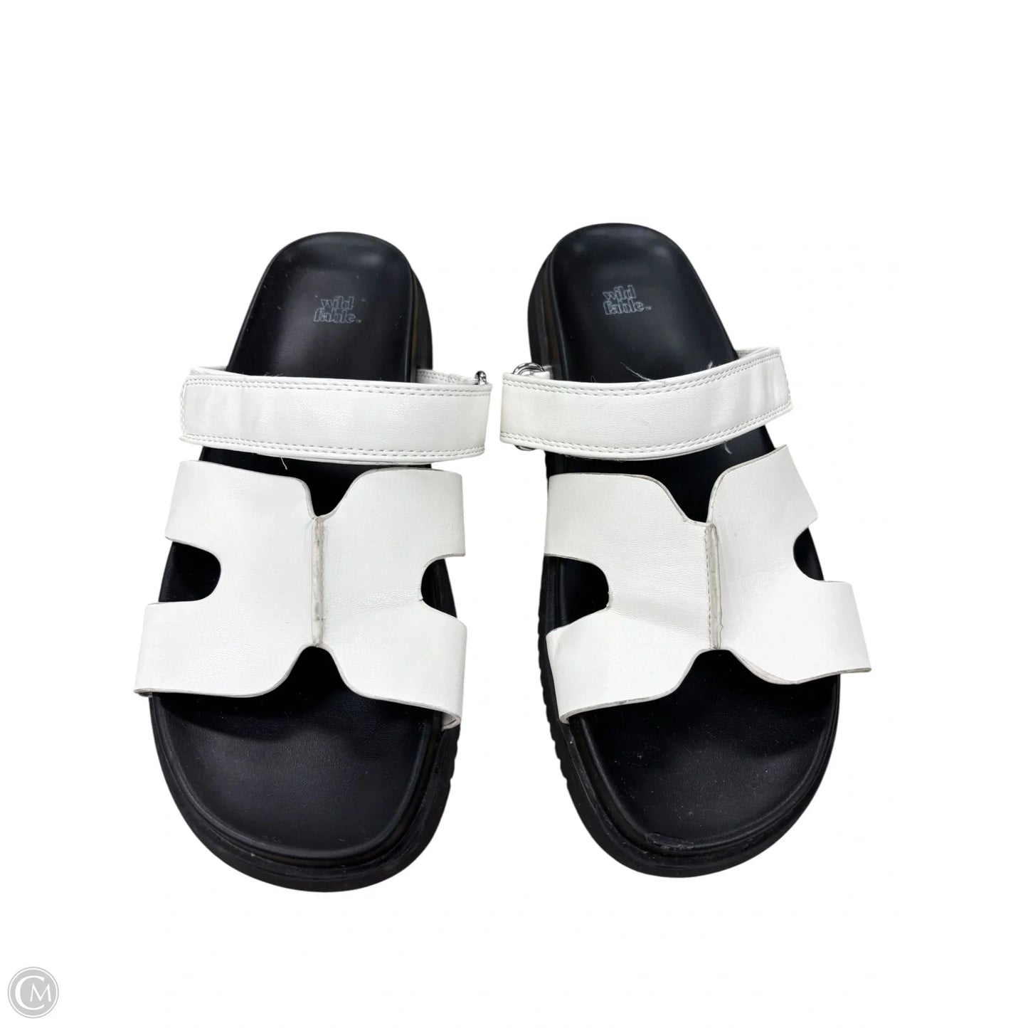 Sandals Flats By Wild Fable In White, Size: 8