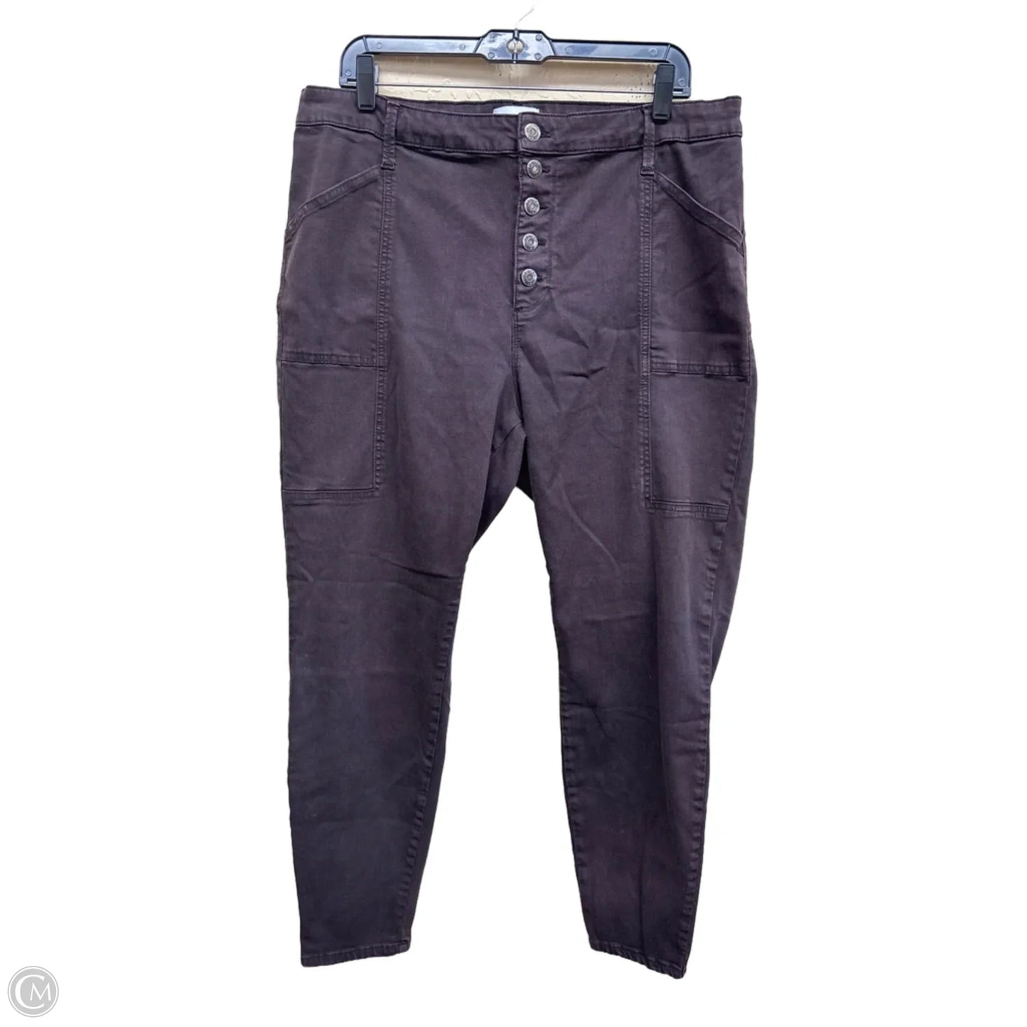 Jeans Skinny By Pistola In Purple Denim, Size: 18