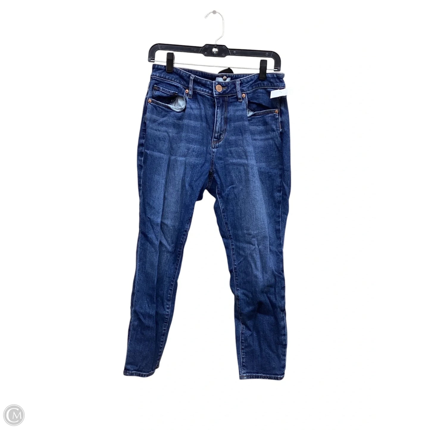 Jeans Skinny By Loft In Blue Denim, Size: 8p