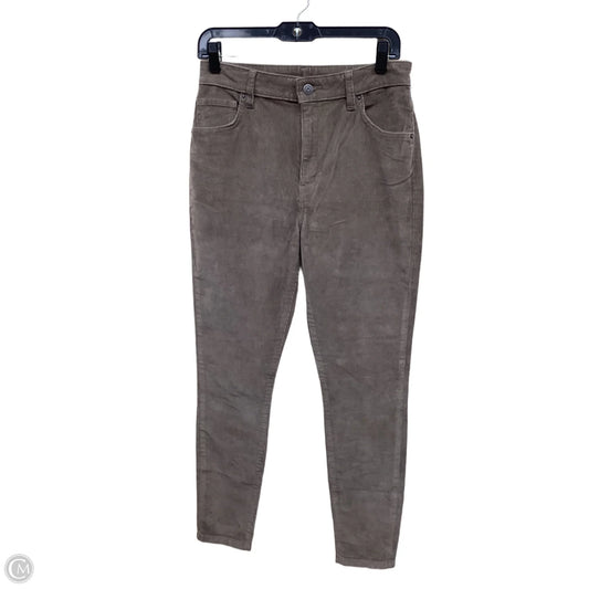 Pants Corduroy By Patagonia In Brown, Size: 8