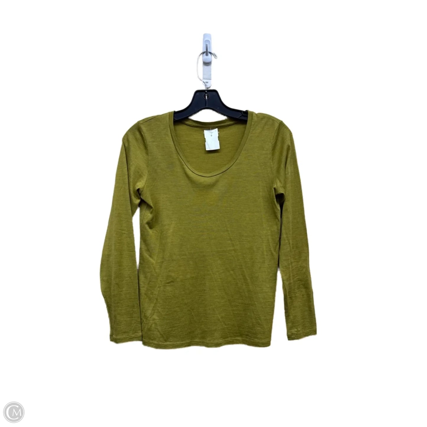 Top Long Sleeve By Eileen Fisher In Green, Size: Sp