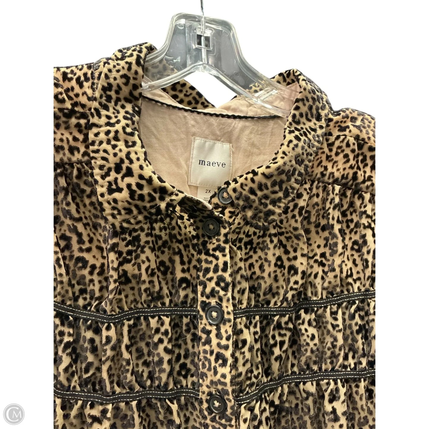 Top Short Sleeve By Maeve In Animal Print, Size: 2x