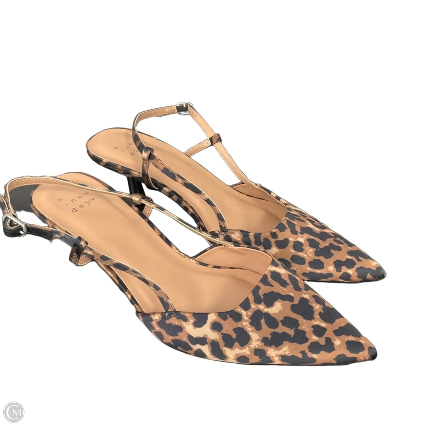 Shoes Heels Kitten By A New Day In Animal Print, Size: 7.5