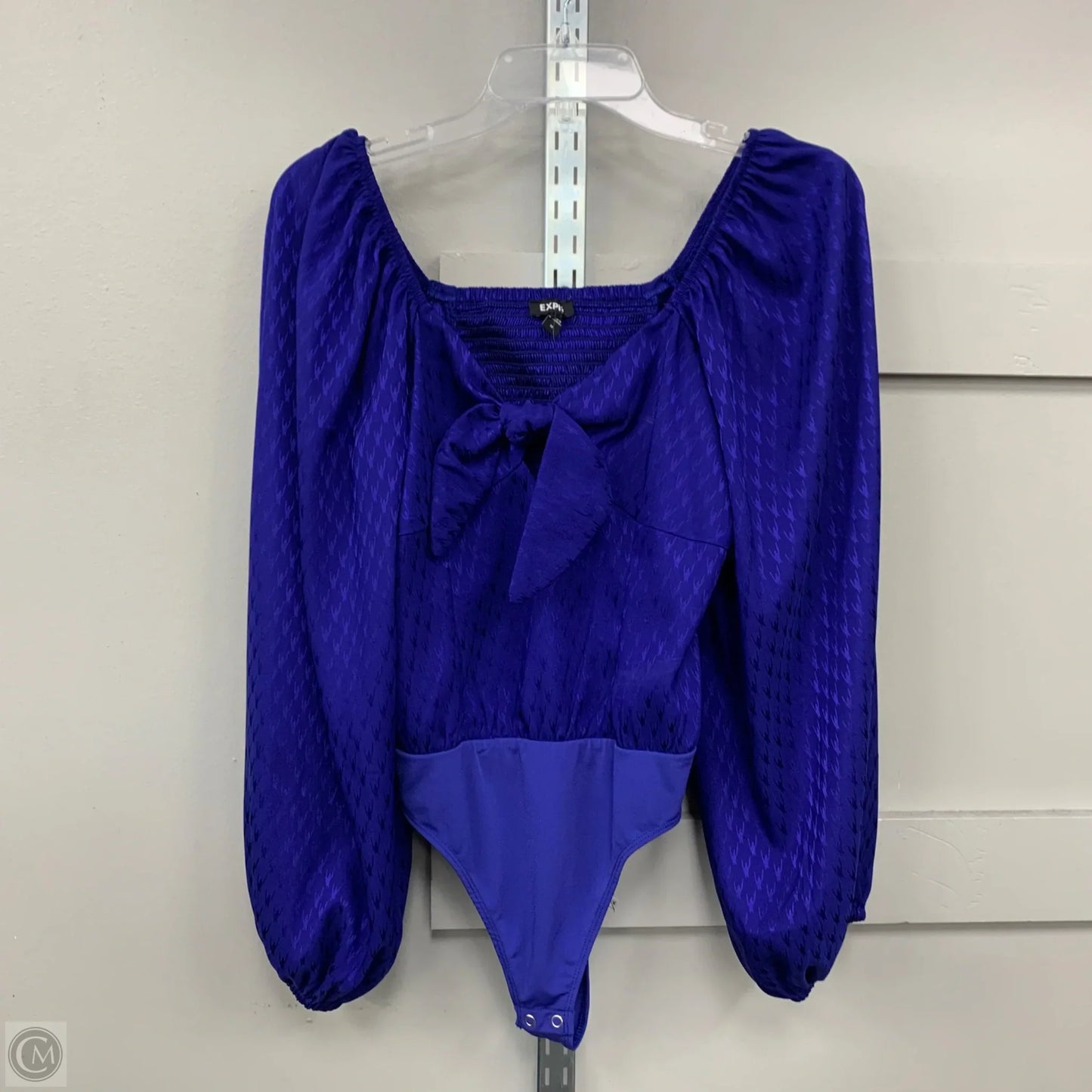 Bodysuit By Express In Blue, Size: M
