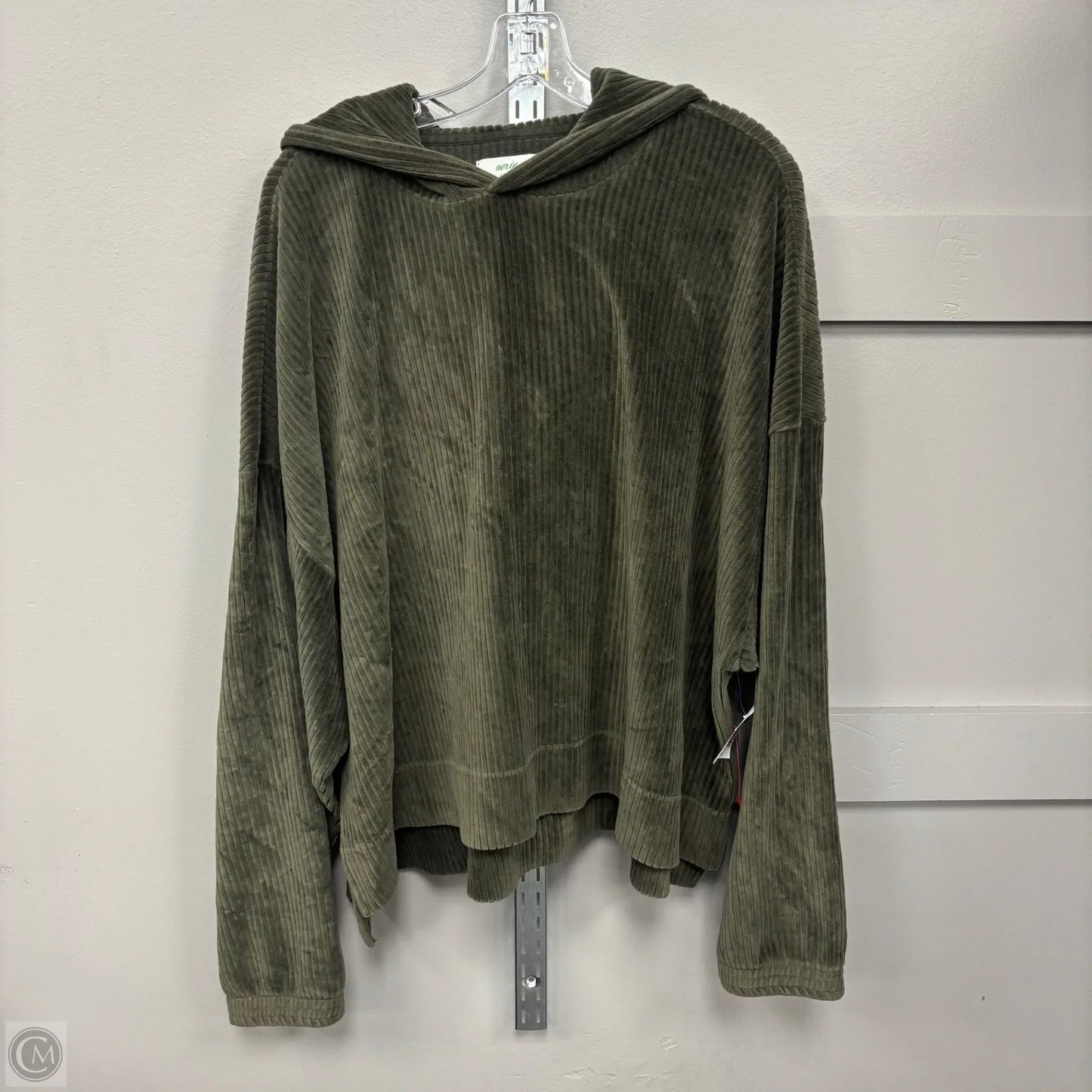 Sweatshirt Hoodie By Aerie In Green, Size: Xxl