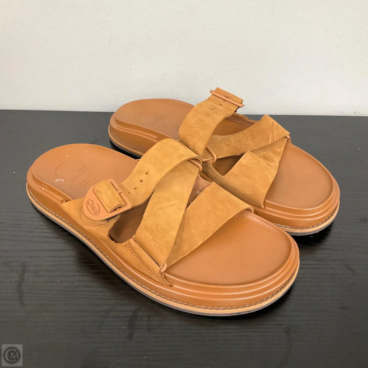 Sandals Flip Flops By Chacos In Brown, Size: 11