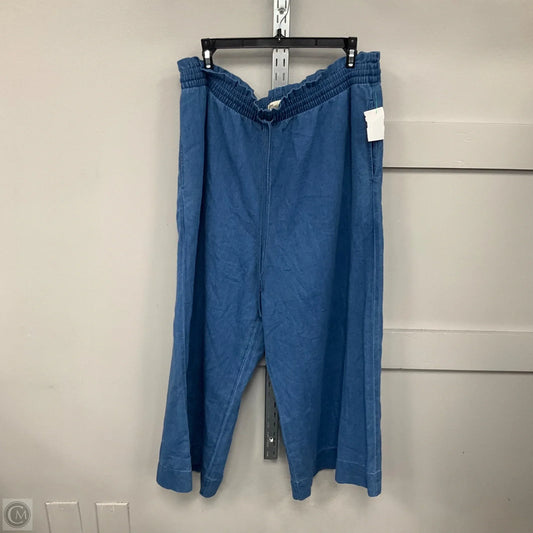 Pants Other By Madewell In Blue, Size: Xl