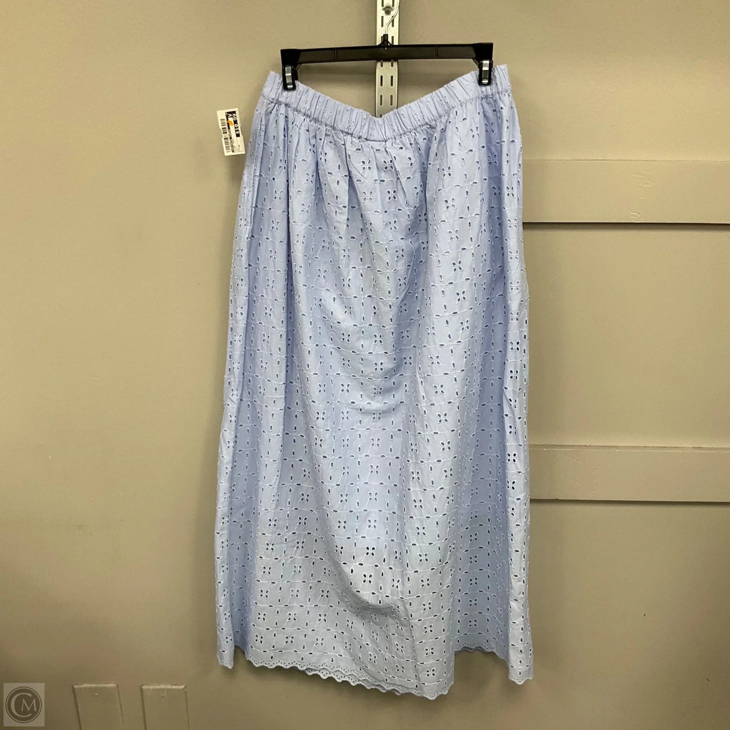 Skirt Maxi By Universal Thread In Blue, Size: M