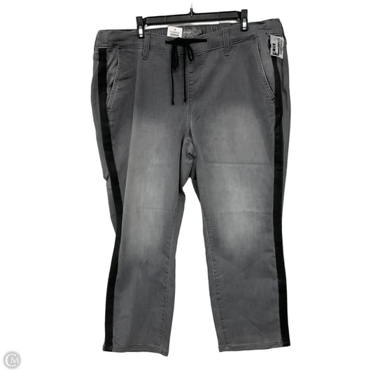 Pants Other By Torrid In Grey, Size: 2x