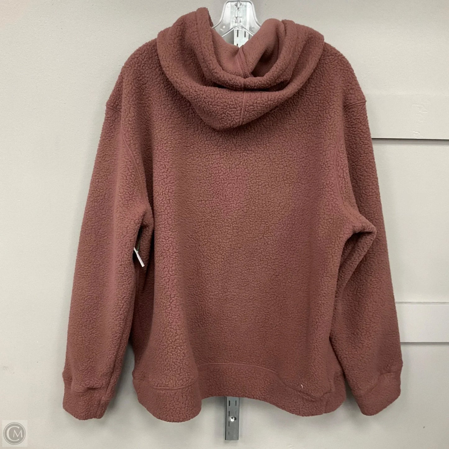 Sweatshirt Hoodie By The North Face In Brown, Size: Xl