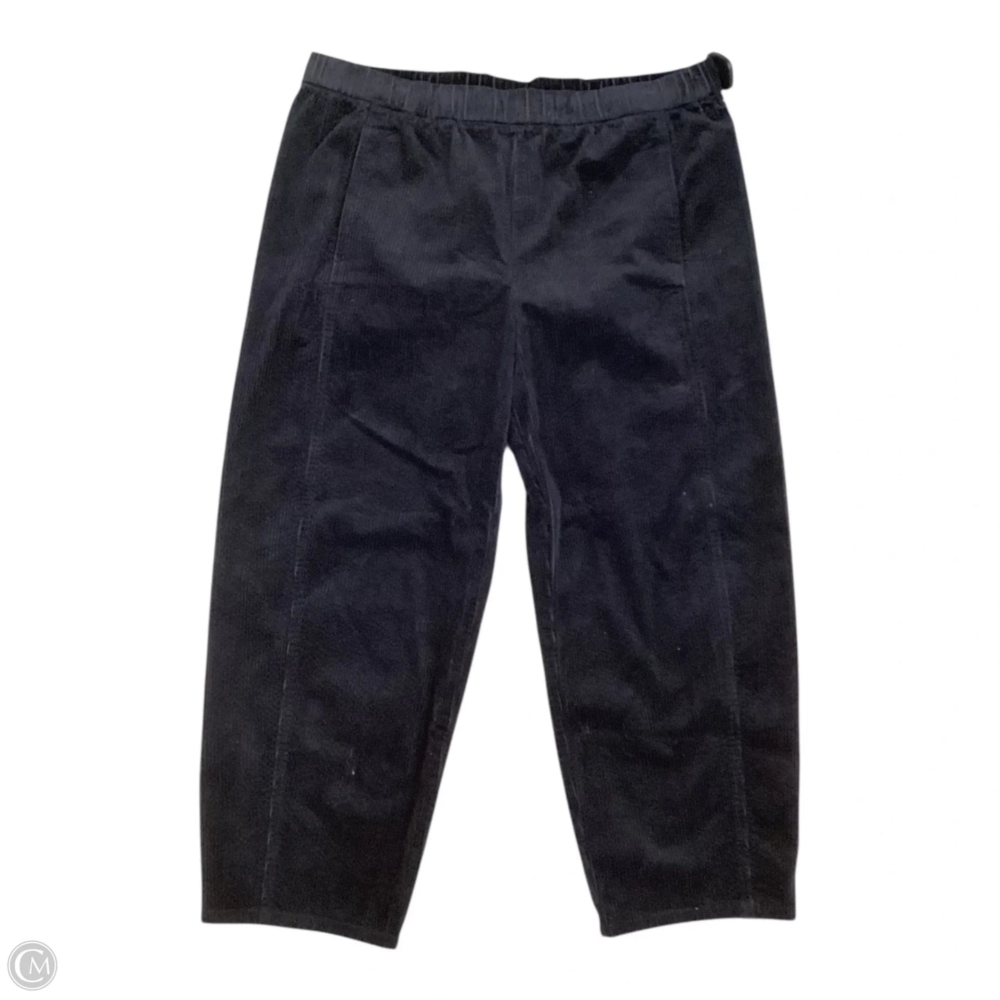 Pants Corduroy By Eileen Fisher In Black, Size: 16