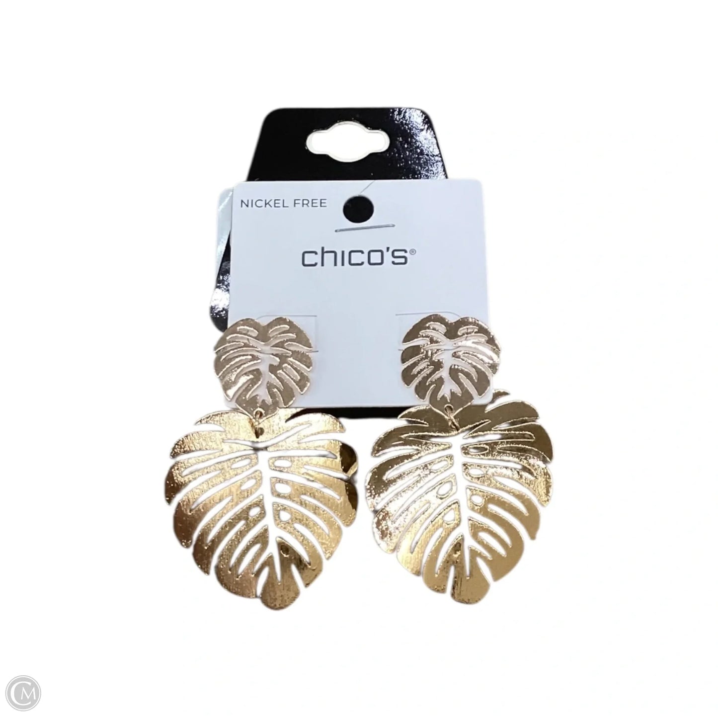 Earrings Dangle/drop By Chicos