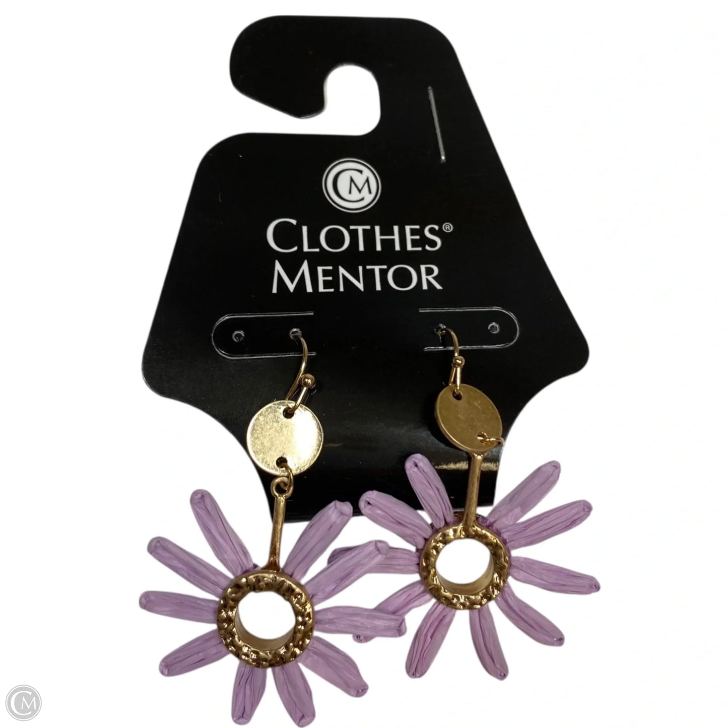Earrings Dangle/drop By Clothes Mentor