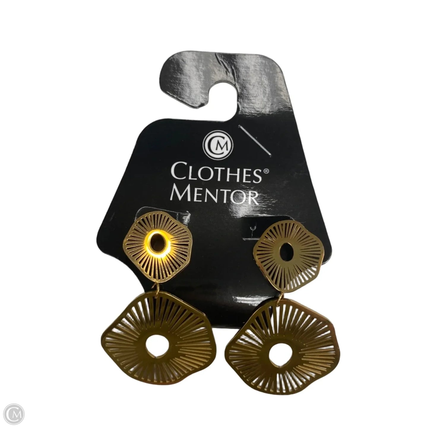 Earrings Dangle/drop By Clothes Mentor