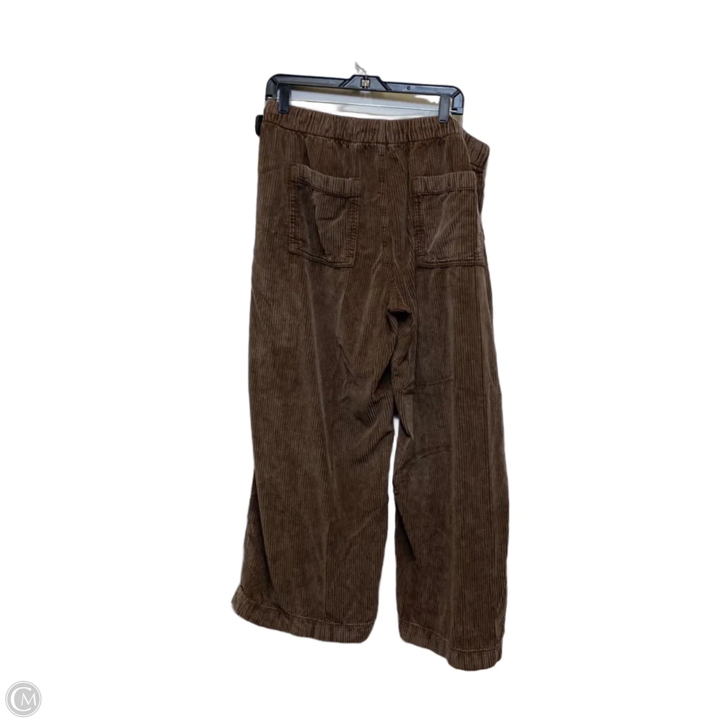 Pants Corduroy By American Eagle In Brown, Size: L