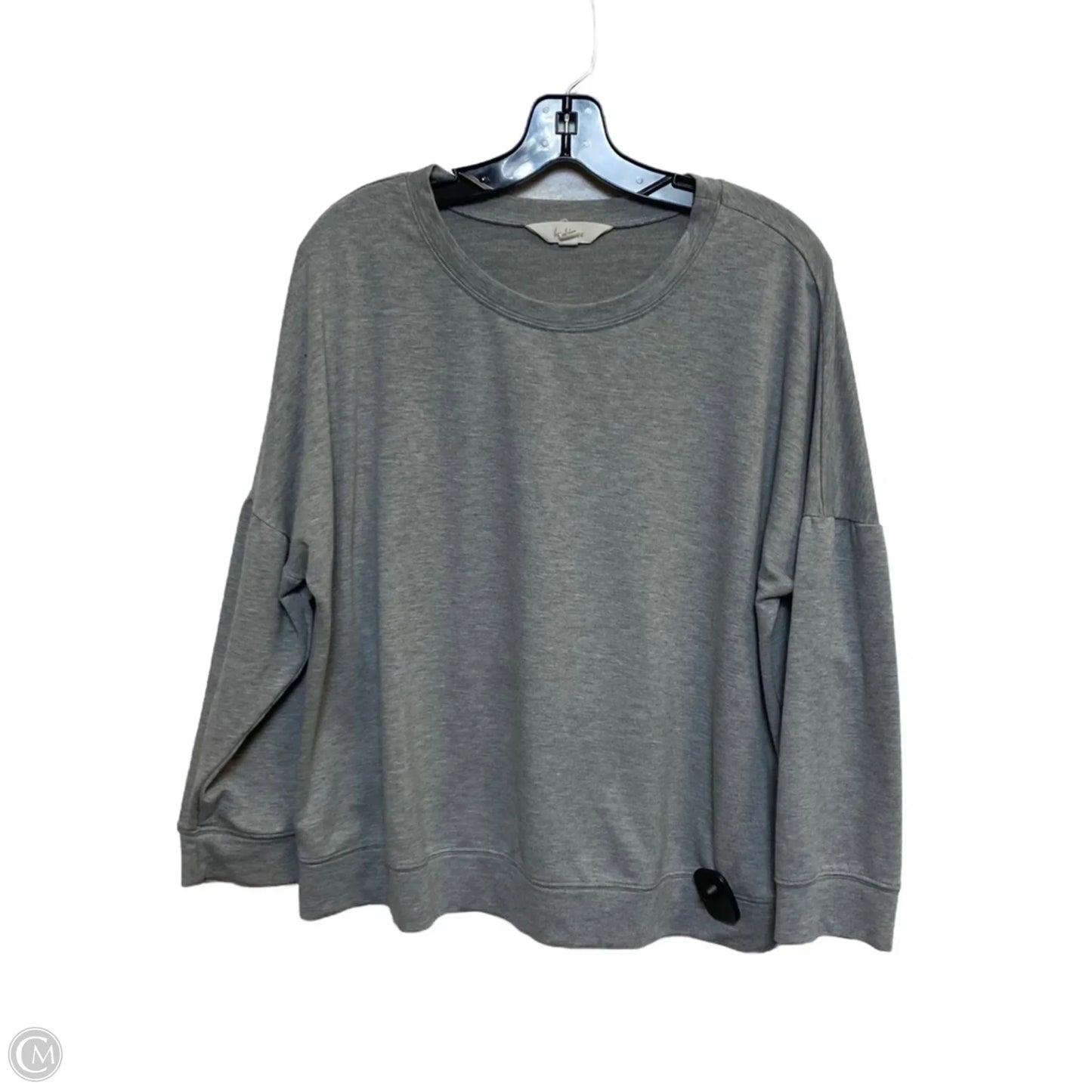 Top Long Sleeve By Land N Sea In Grey, Size: Xl