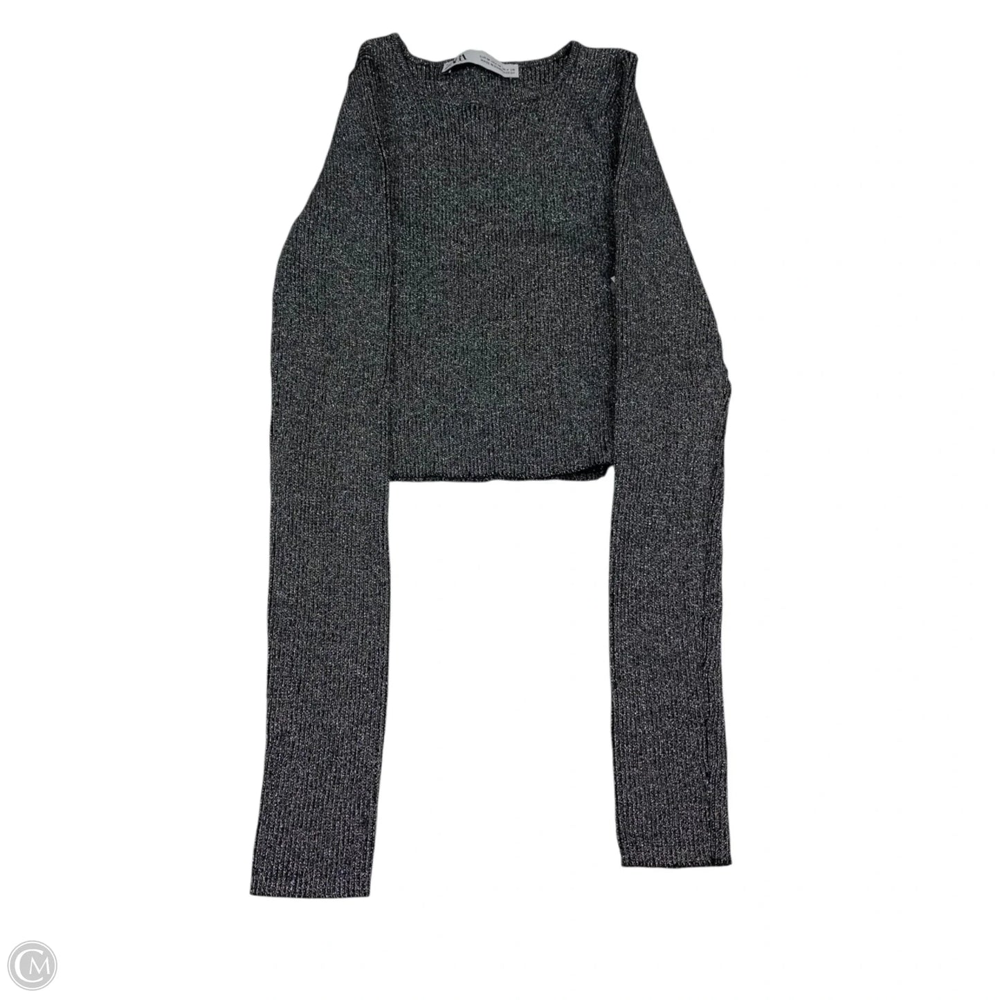 Top Long Sleeve By Zara In Black & Silver, Size: M