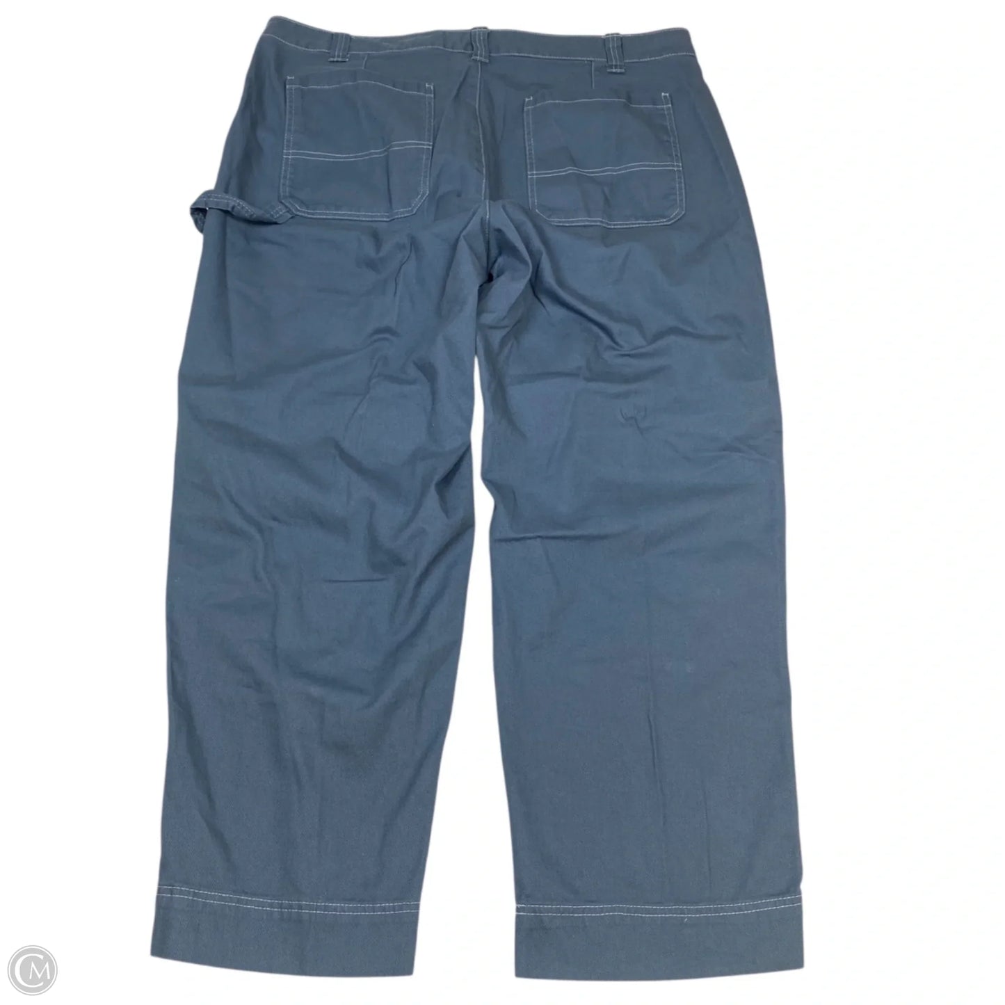 Pants Cargo & Utility By Old Navy In Blue, Size: 18