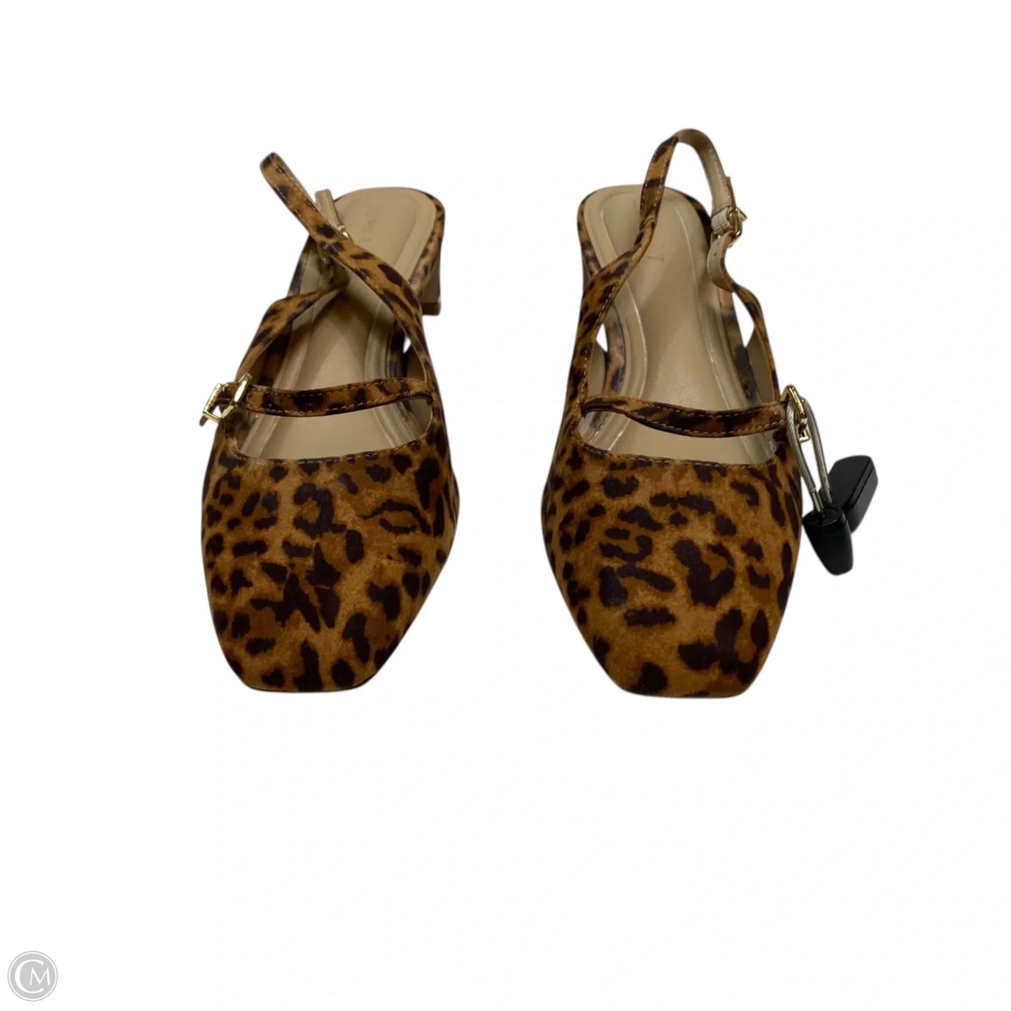 Shoes Heels Kitten By Crown And Ivy In Animal Print, Size: 7.5