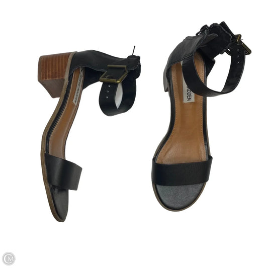 Sandals Heels Block By Steve Madden In Black, Size: 7