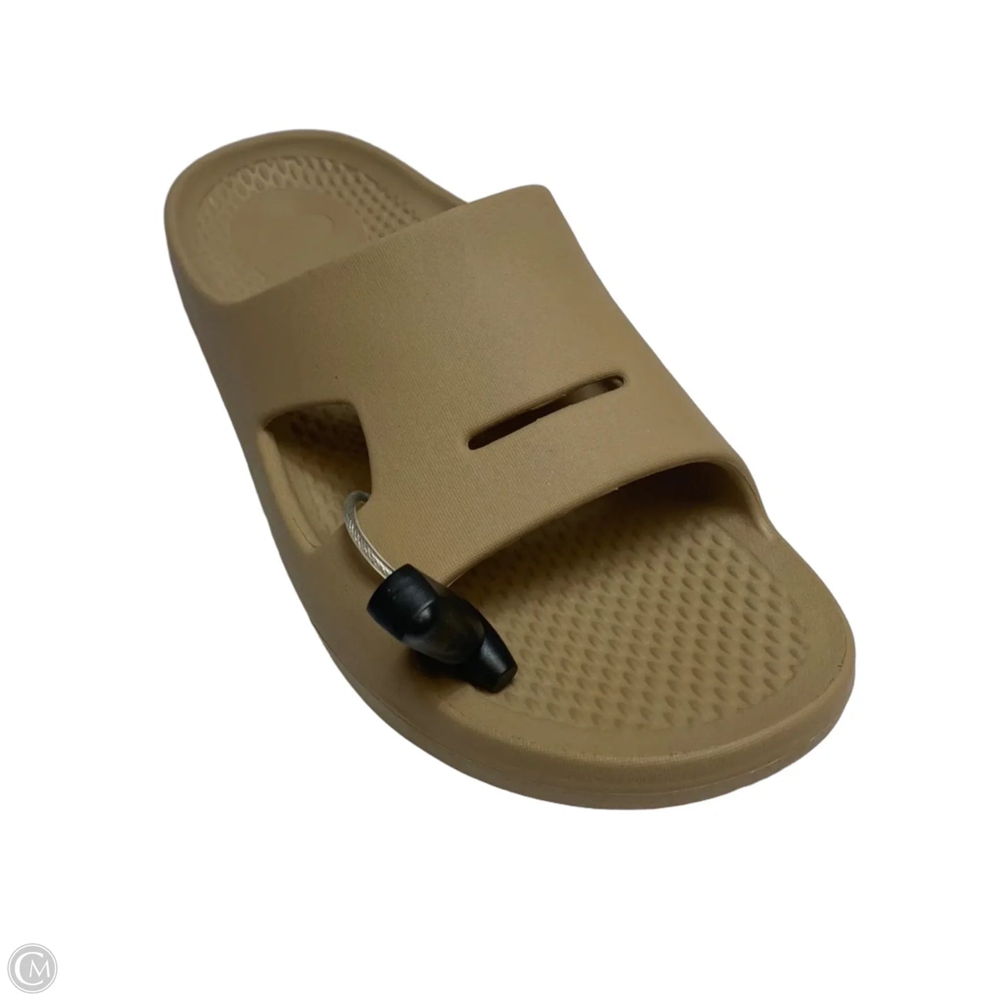 Sandals Flats By Ravitalign In Brown, Size: 12