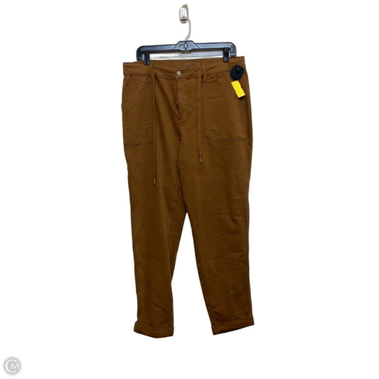 Jeans Skinny By Judy Blue In Brown, Size: 14