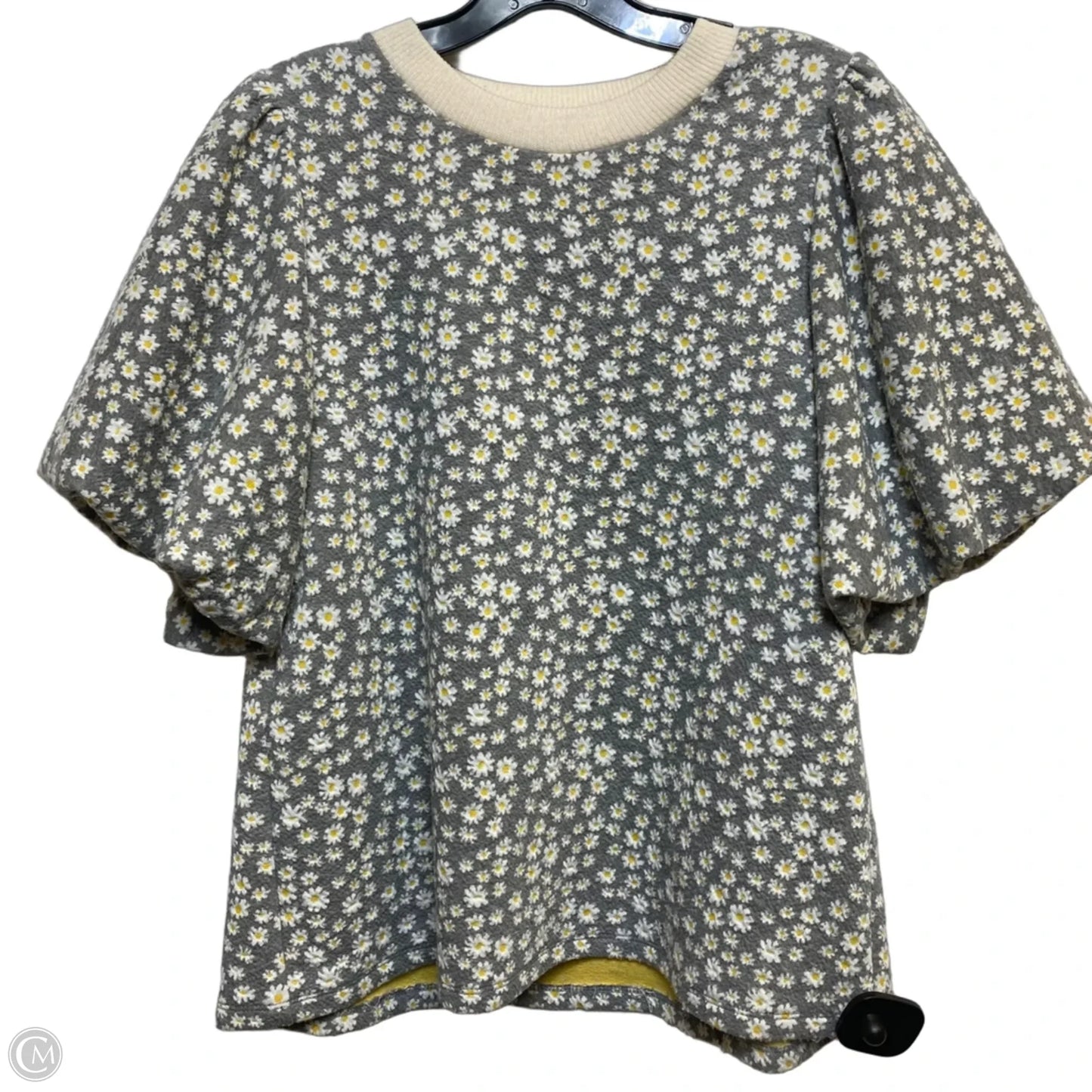Top Short Sleeve By Thml In Cream & Grey, Size: M