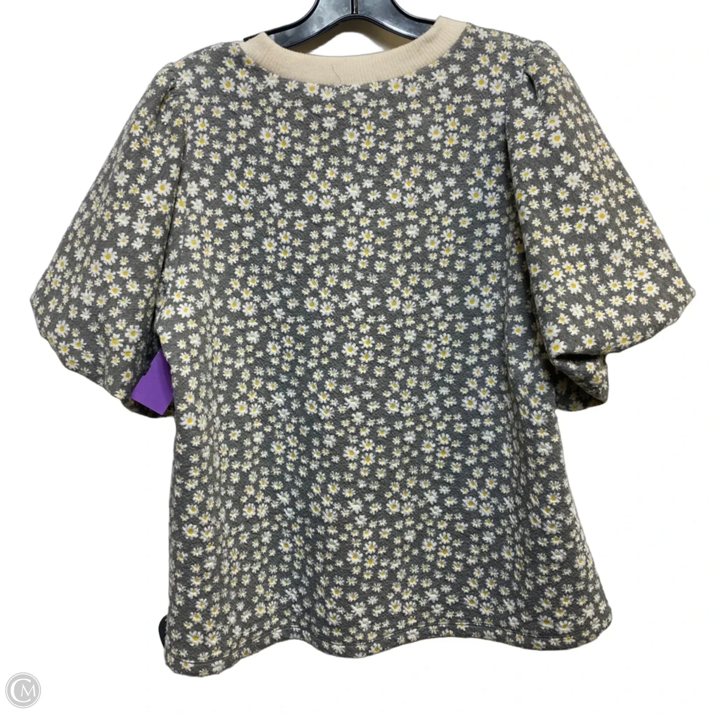 Top Short Sleeve By Thml In Cream & Grey, Size: M