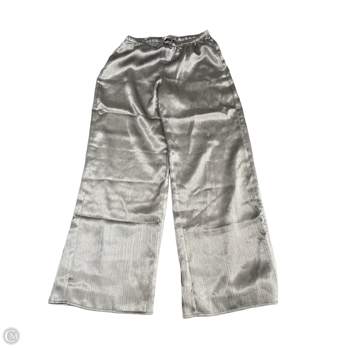 Pants Other By Abercrombie And Fitch In Silver, Size: Xs