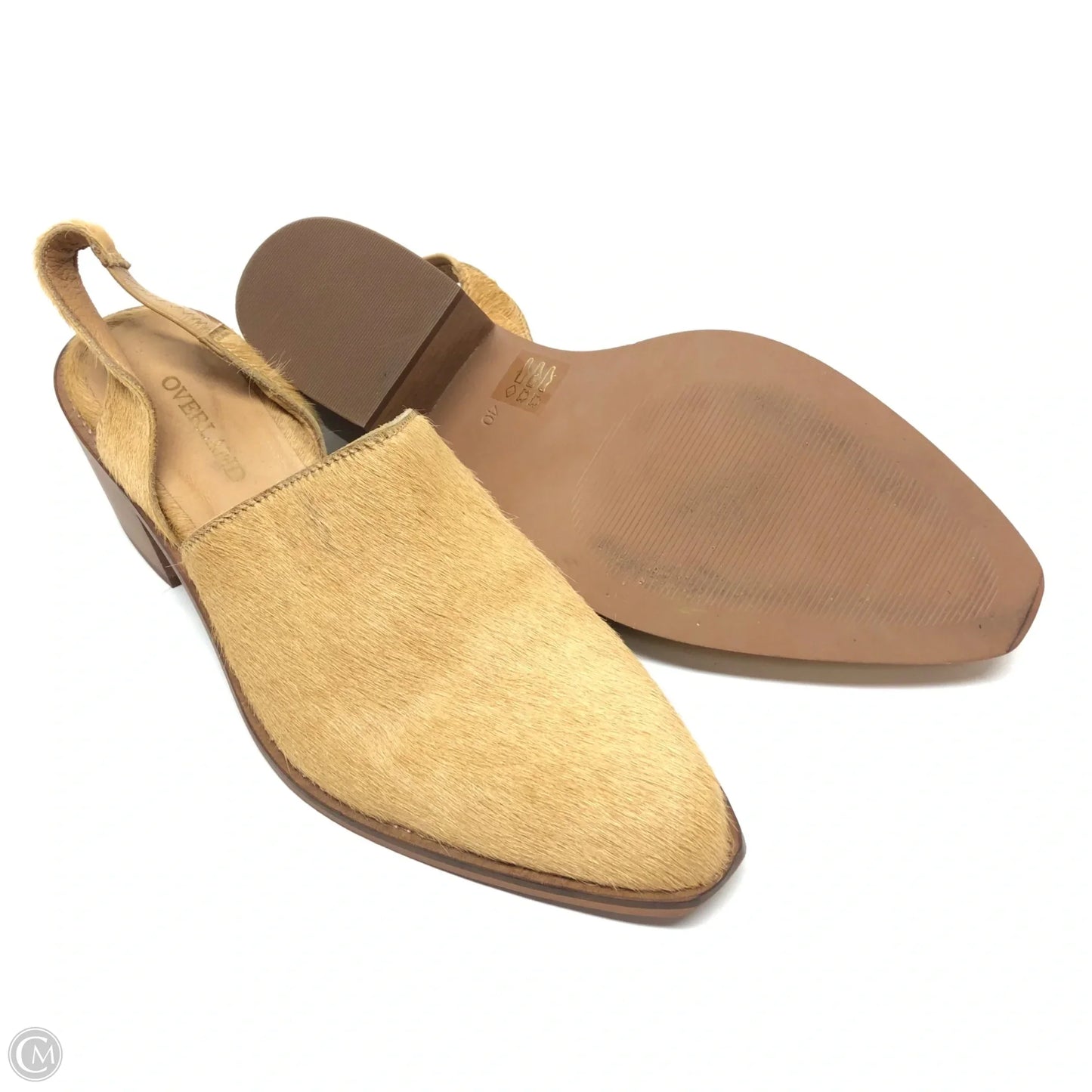 Shoes Heels Block By Cmb In Tan, Size: 10