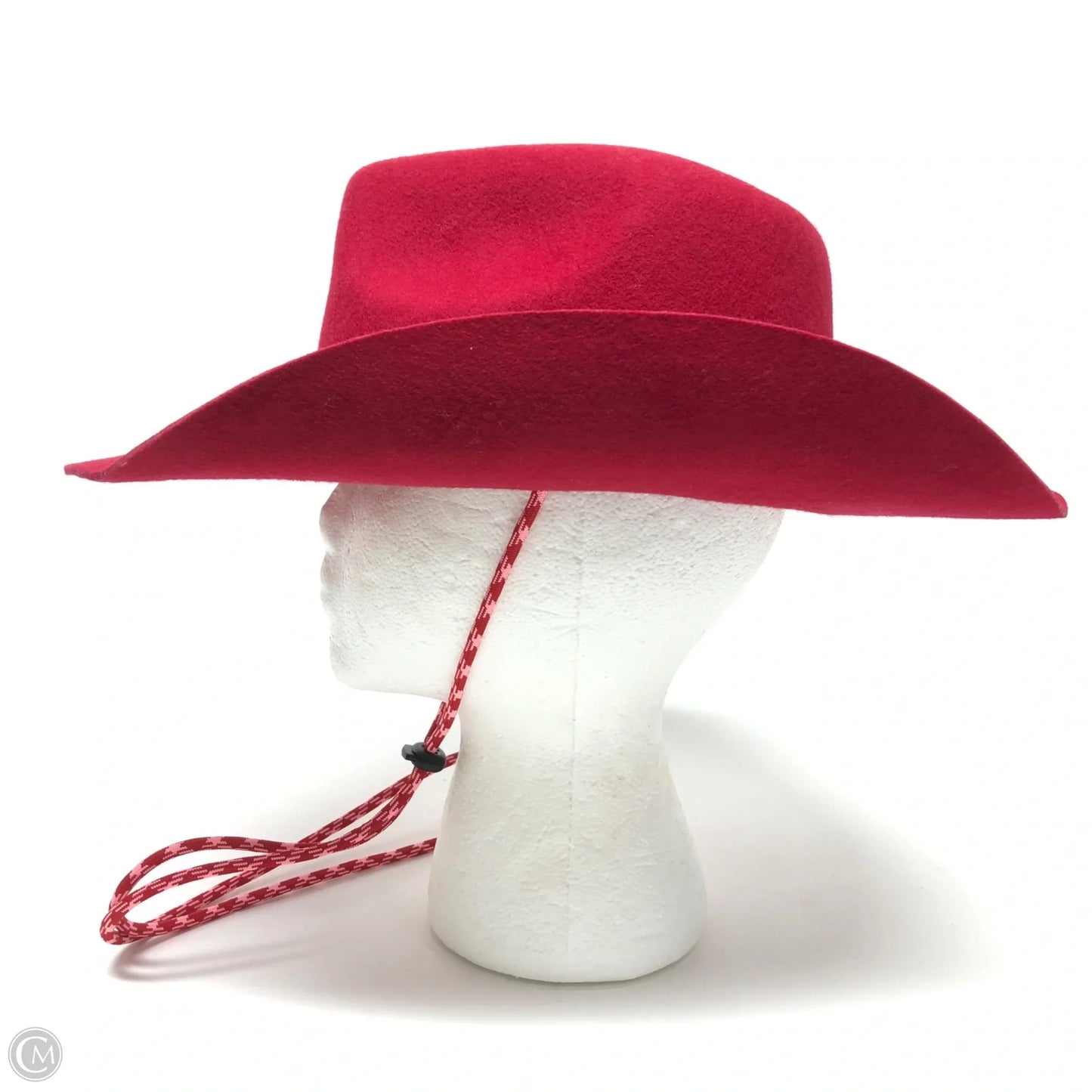 Hat Cowgirl By Anthropologie