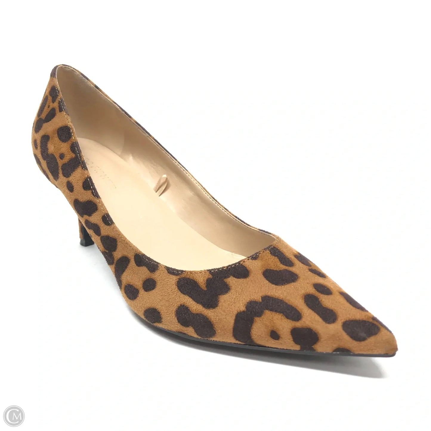 Shoes Heels Kitten By Marc Fisher In Animal Print, Size: 8