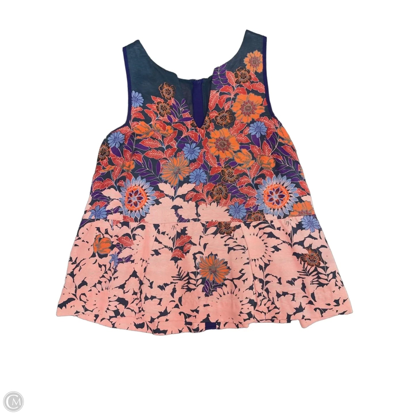 Top Sleeveless By Hd In Paris In Blue & Pink, Size: 8