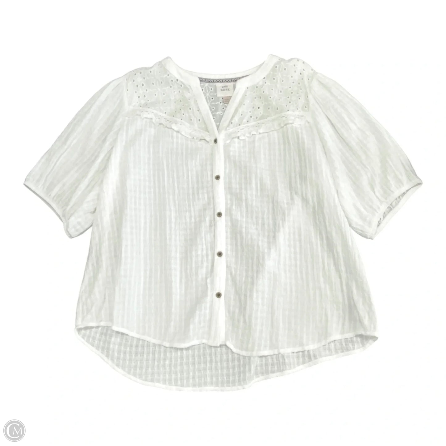Top Short Sleeve By Knox Rose In White, Size: Xxl