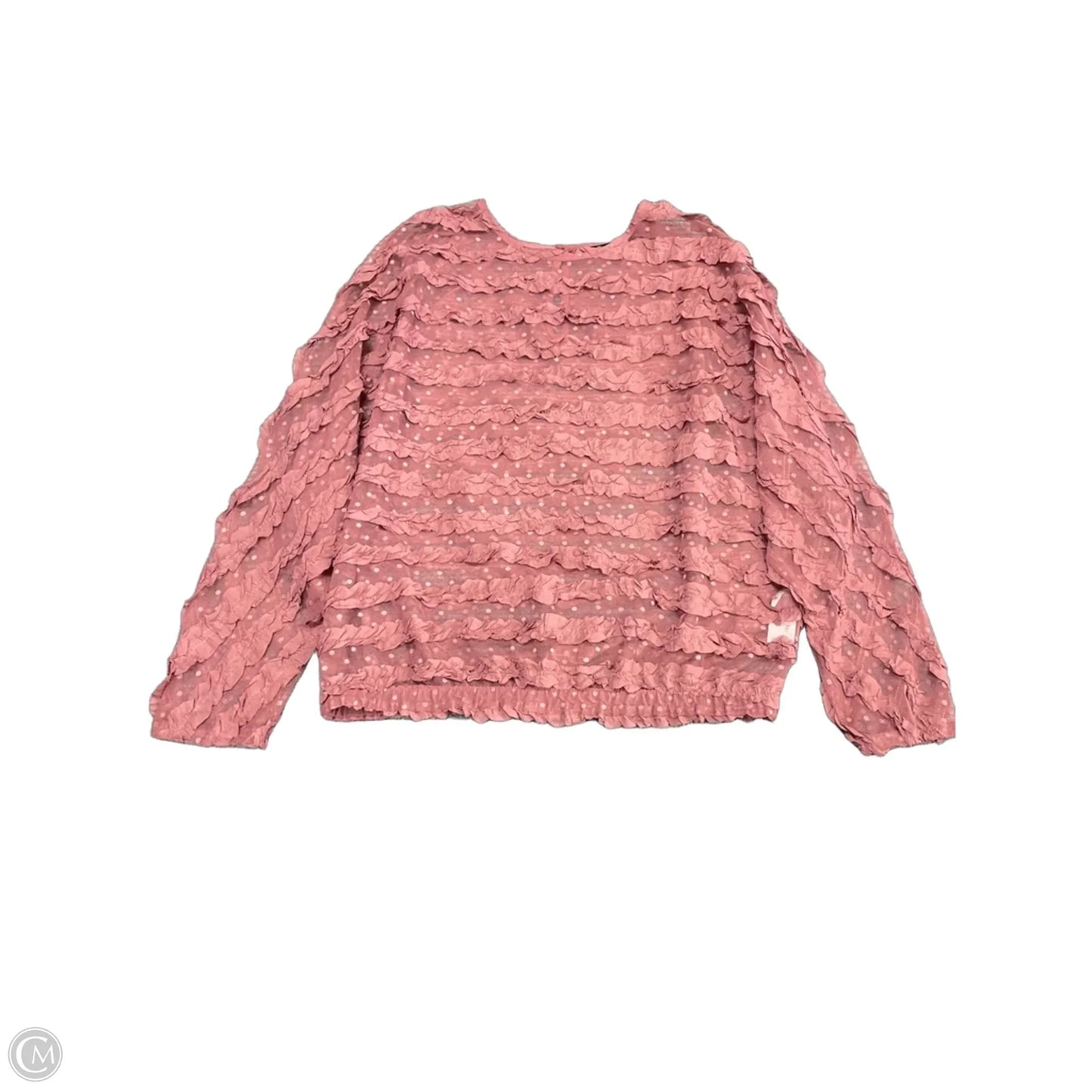 Top Long Sleeve By Zara In Purple, Size: L