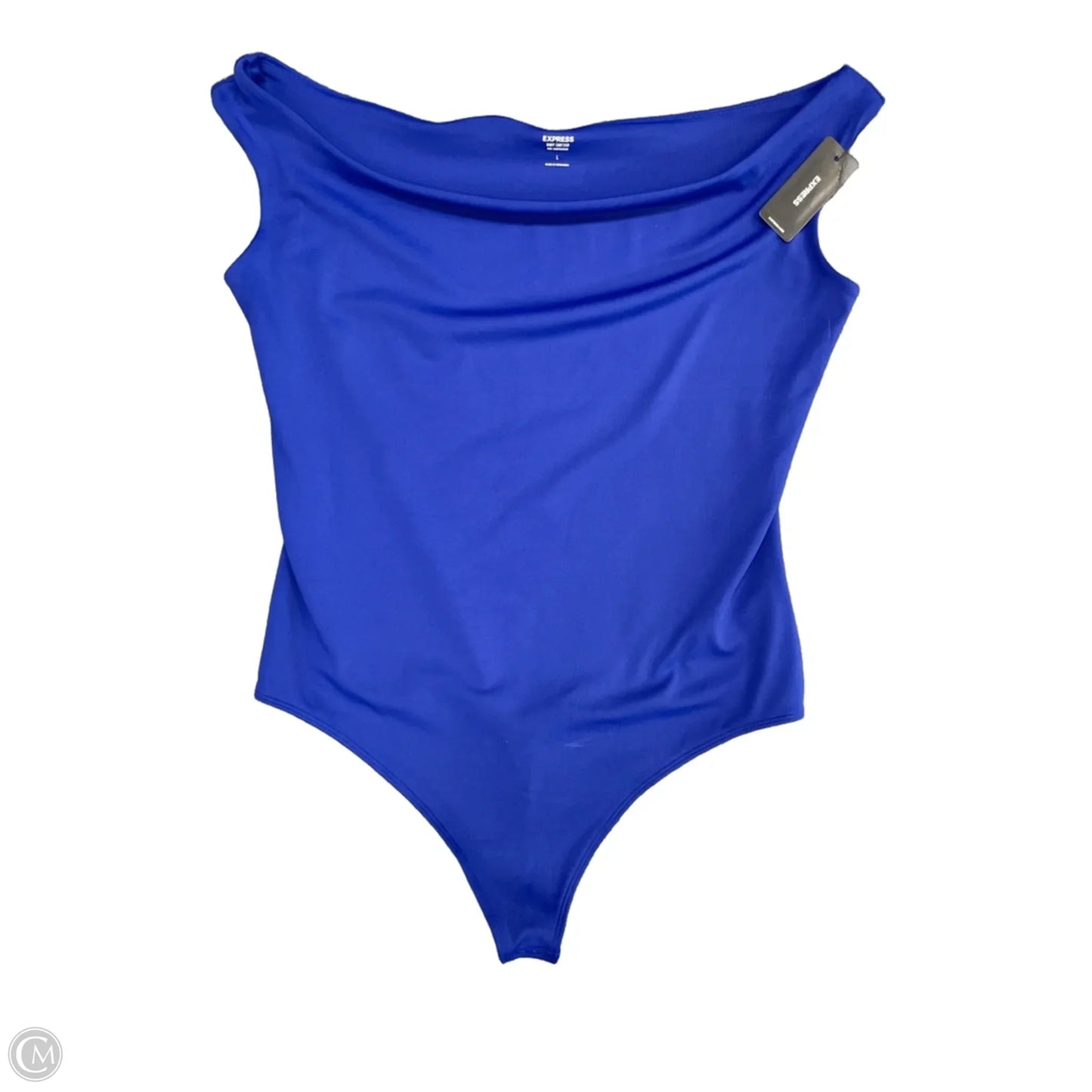Bodysuit By Express In Blue, Size: L