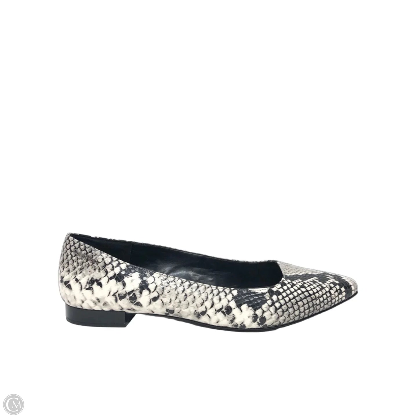 Shoes Flats By Calvin Klein In Snakeskin Print, Size: 9.5