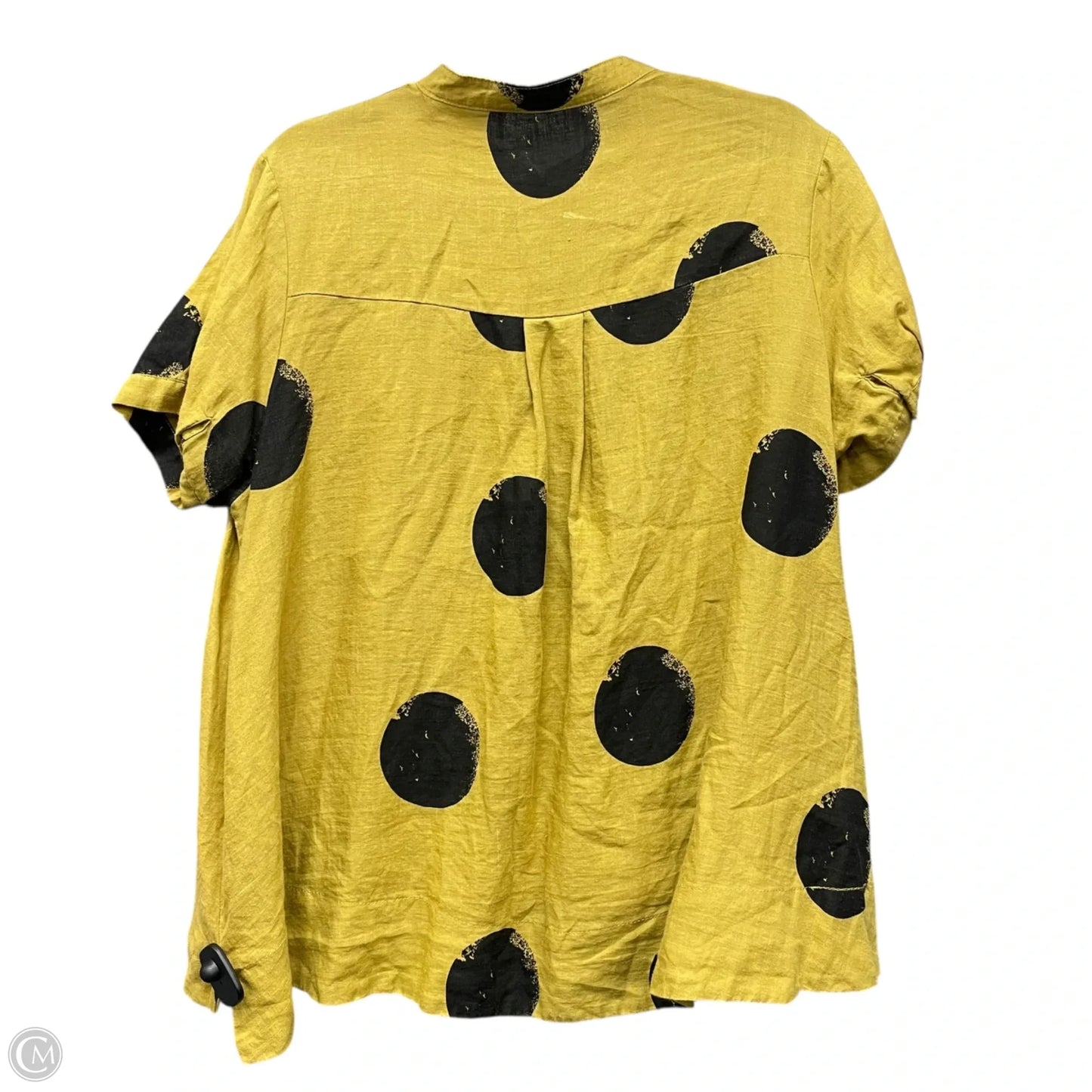 Tunic Short Sleeve By Clothes Mentor In Black & Tan, Size: L