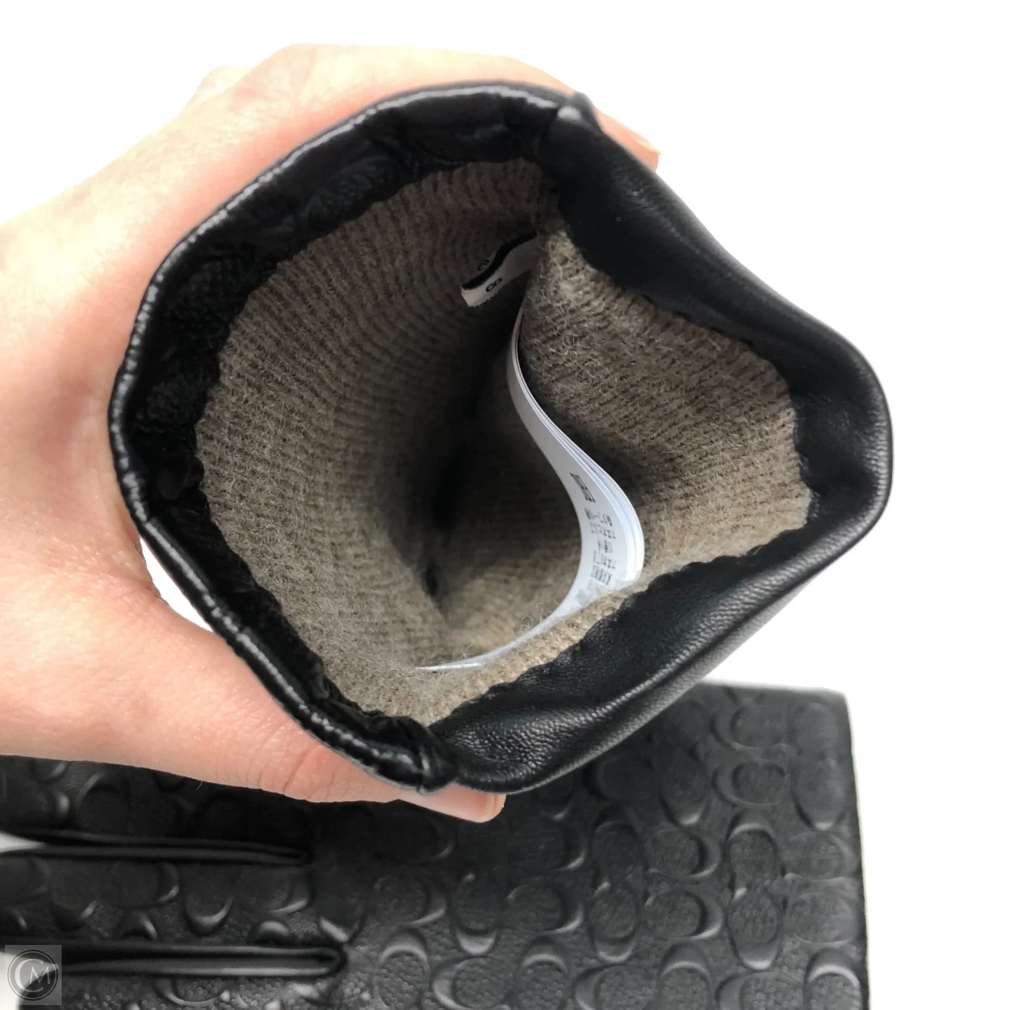 Gloves Designer By Coach