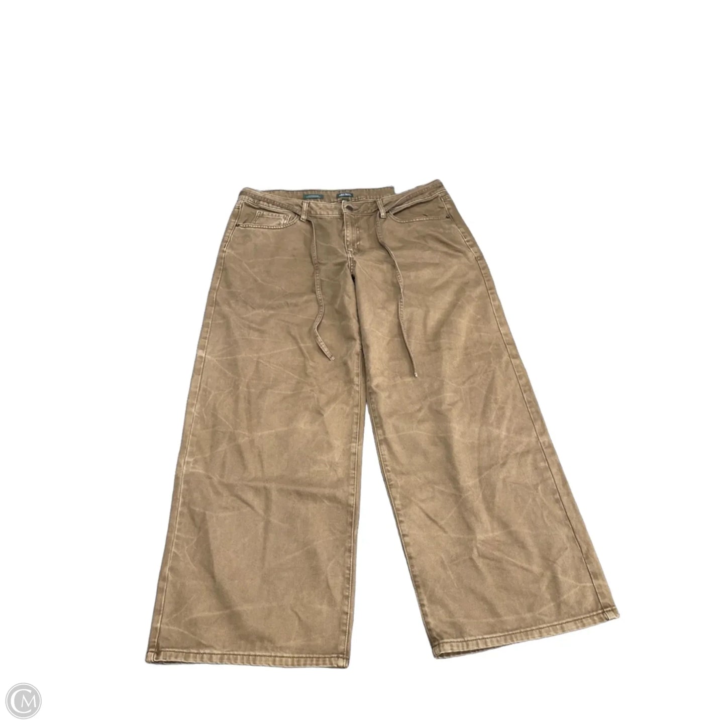 Jeans Wide Leg By Wild Fable In Brown, Size: 16